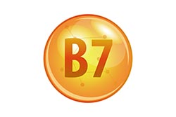 Biotina (vitamina B7)